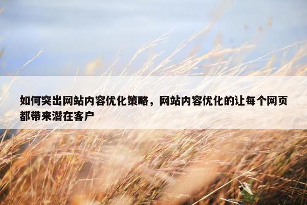 如何突出网站内容优化策略，网站内容优化的让每个网页都带来潜在客户