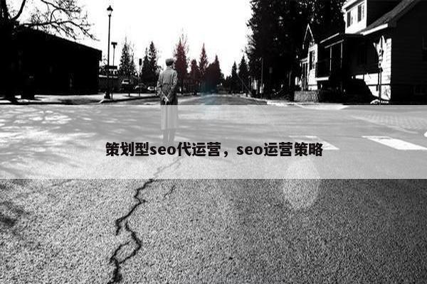 策划型seo代运营，seo运营策略