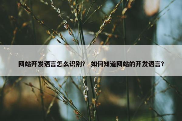 网站开发语言怎么识别？ 如何知道网站的开发语言？