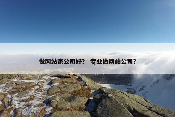 做网站家公司好？ 专业做网站公司？