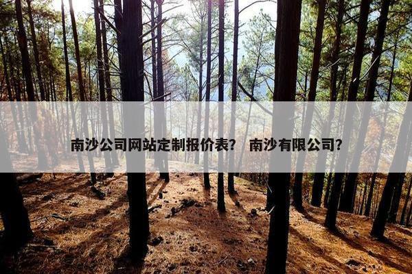 南沙公司网站定制报价表？ 南沙有限公司？