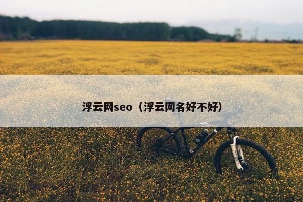 浮云网seo（浮云网名好不好）
