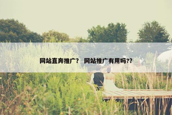 网站直奔推广？ 网站推广有用吗?？
