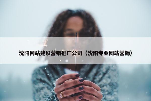 沈阳网站建设营销推广公司（沈阳专业网站营销）