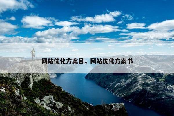 网站优化方案目，网站优化方案书