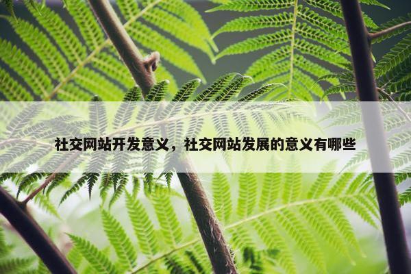 社交网站开发意义，社交网站发展的意义有哪些