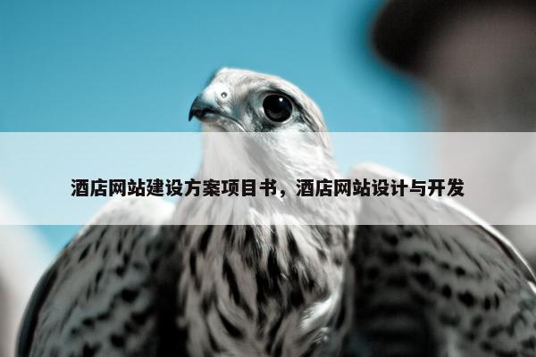 酒店网站建设方案项目书，酒店网站设计与开发
