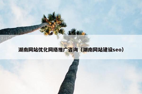 湖南网站优化网络推广咨询（湖南网站建设seo）