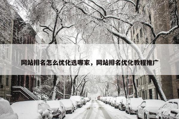 网站排名怎么优化选哪家，网站排名优化教程推广