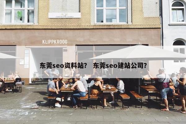 东莞seo资料站？ 东莞seo建站公司？