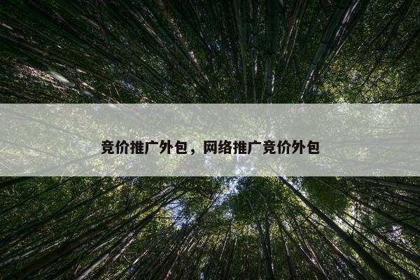 竞价推广外包，网络推广竞价外包