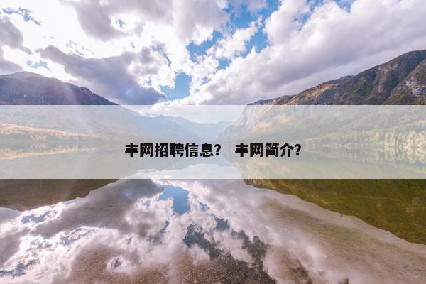 丰网招聘信息？ 丰网简介？