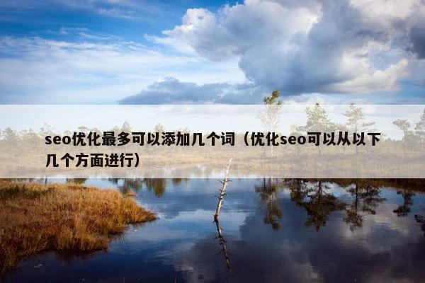 seo优化最多可以添加几个词（优化seo可以从以下几个方面进行）