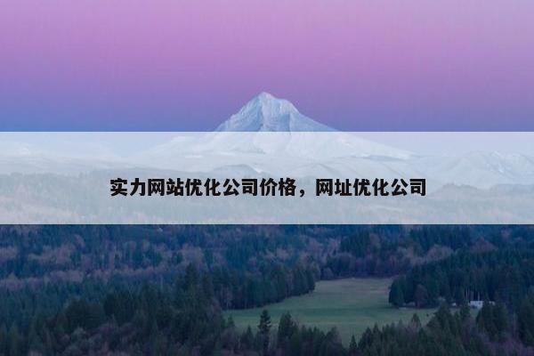 实力网站优化公司价格，网址优化公司