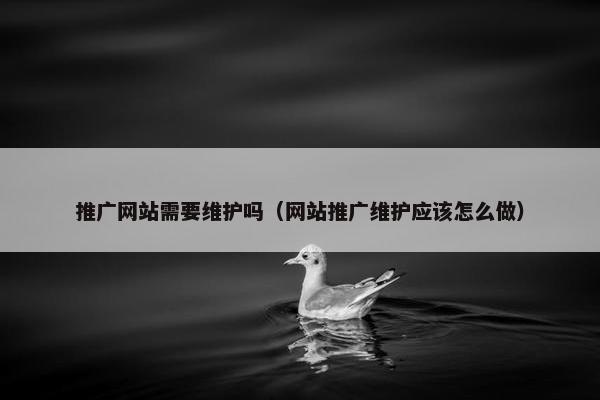 推广网站需要维护吗（网站推广维护应该怎么做）