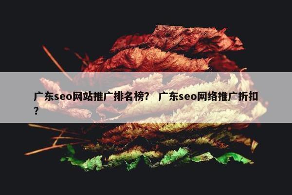 广东seo网站推广排名榜？ 广东seo网络推广折扣？