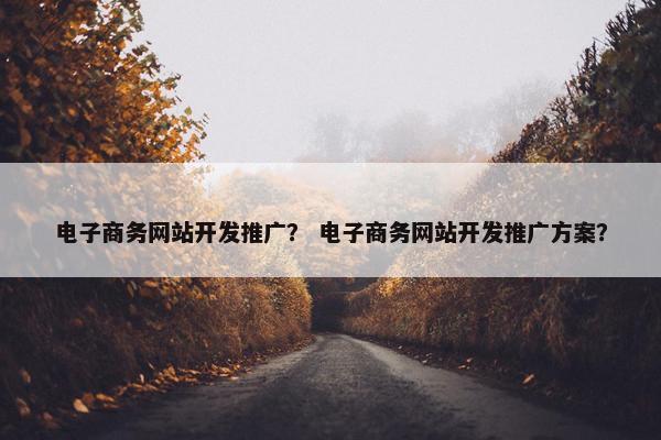 电子商务网站开发推广？ 电子商务网站开发推广方案？