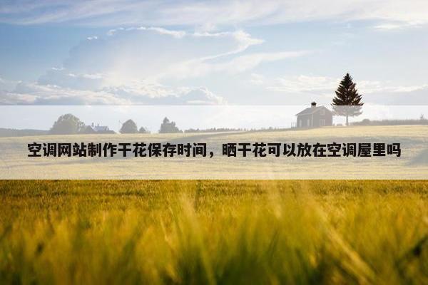 空调网站制作干花保存时间，晒干花可以放在空调屋里吗
