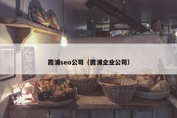 霞浦seo公司（霞浦企业公司）