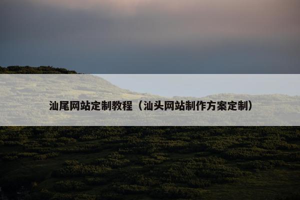汕尾网站定制教程（汕头网站制作方案定制）