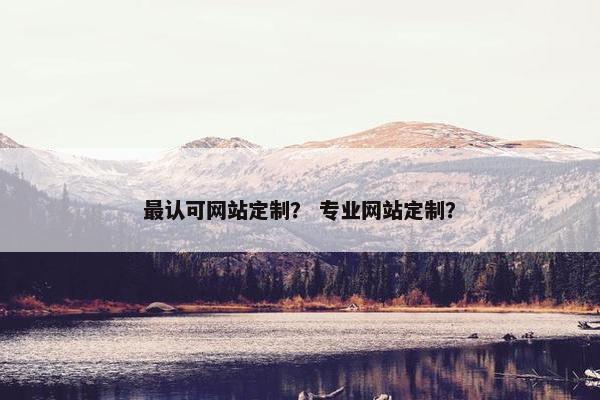 最认可网站定制？ 专业网站定制？