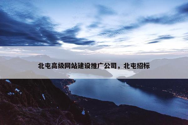 北屯高级网站建设推广公司，北屯招标