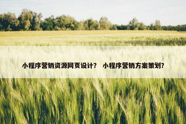 小程序营销资源网页设计？ 小程序营销方案策划？