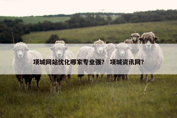 项城网站优化哪家专业强？ 项城资讯网？