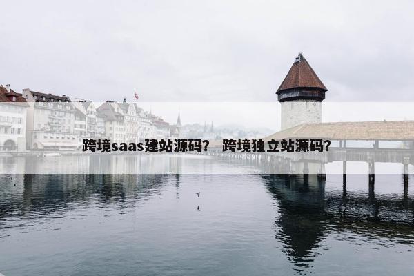 跨境saas建站源码？ 跨境独立站源码？
