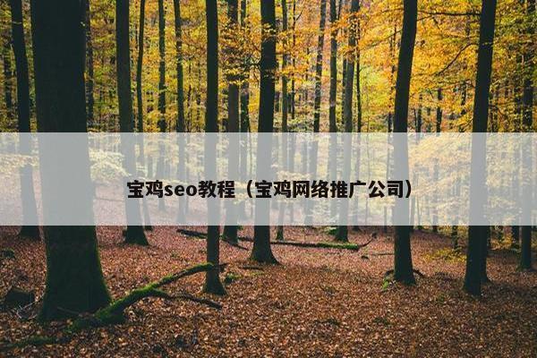 宝鸡seo教程（宝鸡网络推广公司）