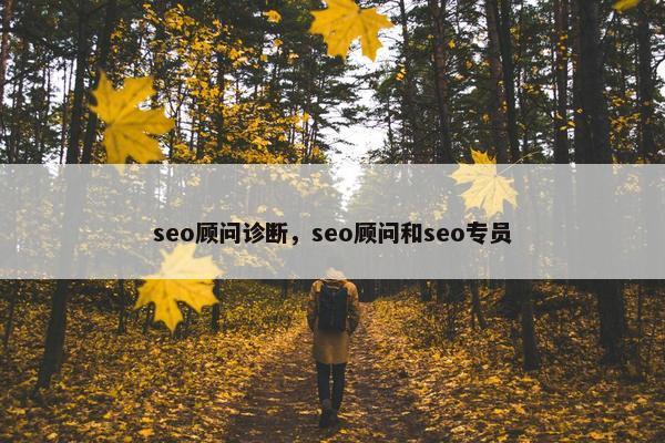 seo顾问诊断，seo顾问和seo专员