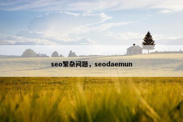 seo繁杂问题，seodaemun