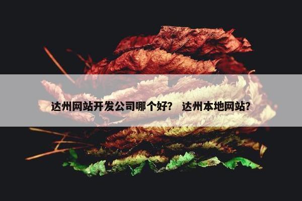 达州网站开发公司哪个好？ 达州本地网站？