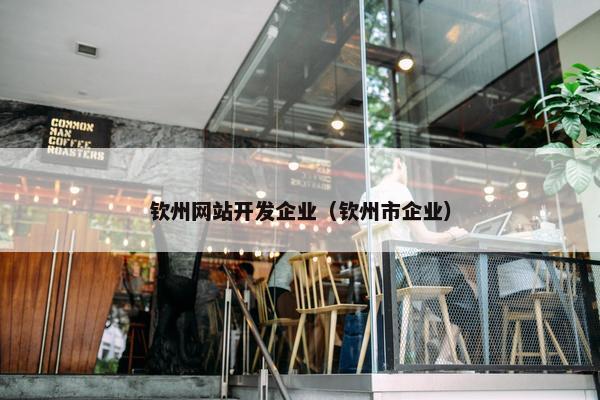 钦州网站开发企业（钦州市企业）