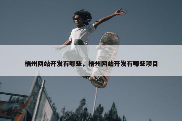 梧州网站开发有哪些，梧州网站开发有哪些项目
