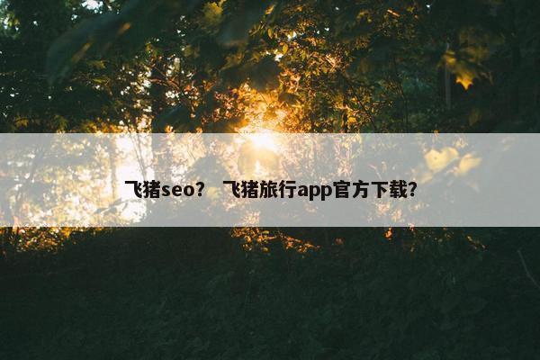 飞猪seo？ 飞猪旅行app官方下载？