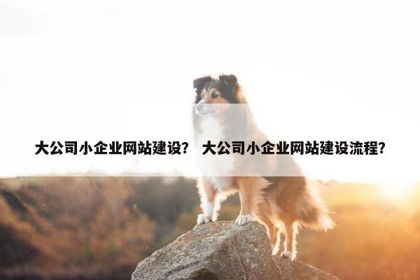 大公司小企业网站建设？ 大公司小企业网站建设流程？