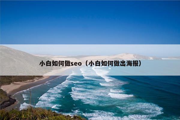 小白如何做seo（小白如何做出海报）