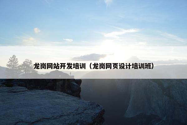 龙岗网站开发培训（龙岗网页设计培训班）