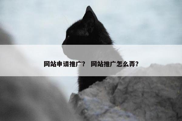 网站申请推广？ 网站推广怎么弄？