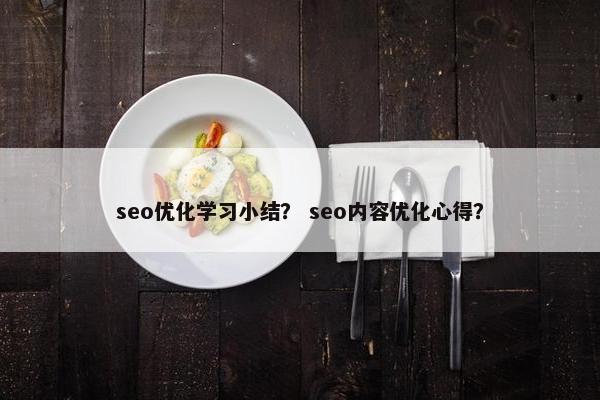seo优化学习小结？ seo内容优化心得？