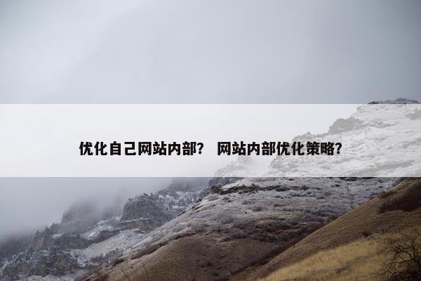 优化自己网站内部？ 网站内部优化策略？