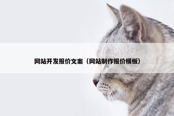 网站开发报价文案（网站制作报价模板）
