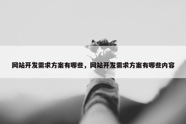 网站开发需求方案有哪些，网站开发需求方案有哪些内容