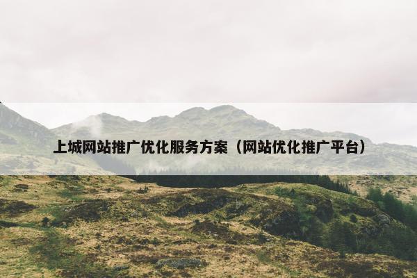 上城网站推广优化服务方案（网站优化推广平台）