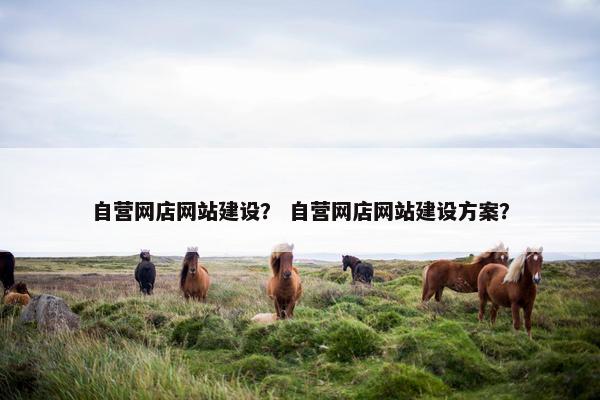 自营网店网站建设？ 自营网店网站建设方案？