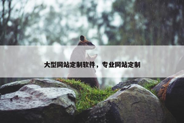 大型网站定制软件，专业网站定制