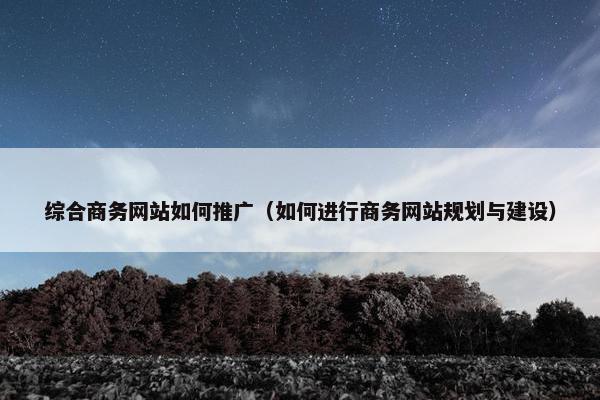 综合商务网站如何推广（如何进行商务网站规划与建设）