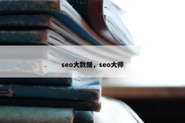 seo大数据，seo大师