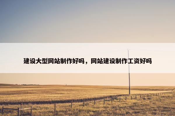 建设大型网站制作好吗，网站建设制作工资好吗